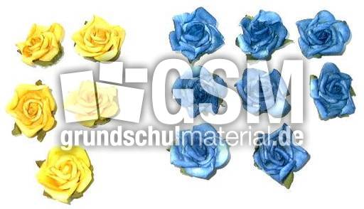 Blumen5+8.jpg